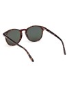 Occhiali da sole Tom Ford FT1097 52N – Ottica Ricci Shop Online