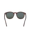 Occhiali da sole Tom Ford FT1097 52N – Ottica Ricci Shop Online