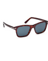Tom Ford Occhiali da sole uomo FT1179 54V da Ottica Ricci Shop Online