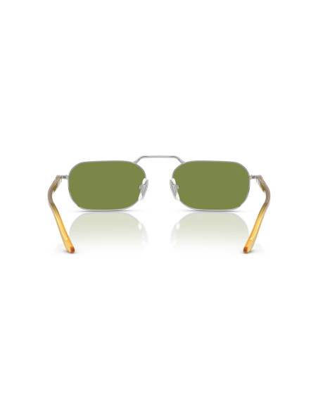 Persol Occhiali da sole 1020S da Ottica Ricci Shop Online