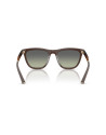 Occhiali da Sole Oliver Peoples 5558SU 52A disponibili online da Ottica Ricci
