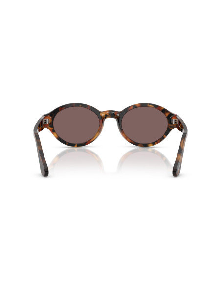 Occhiali da sole Persol 3378S 105253 disponibili online da Ottica Ricci