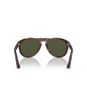 Occhiali da sole Persol 0649 24/31 disponibili online da Ottica Ricci