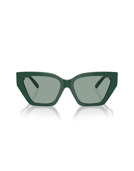 Occhiali da sole Tiffany & Co. 4218 840882 online da Ottica Ricci