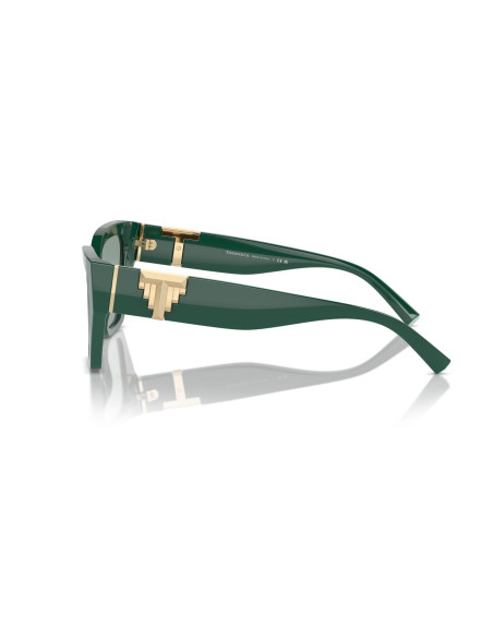 Occhiali da sole Tiffany & Co. 4218 840882 online da Ottica Ricci