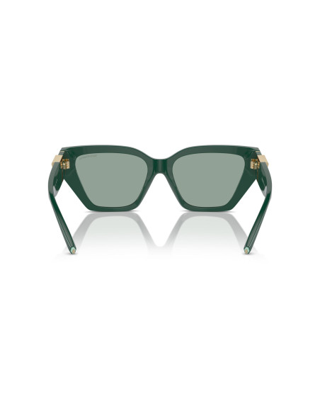 Occhiali da sole Tiffany & Co. 4218 840882 online da Ottica Ricci