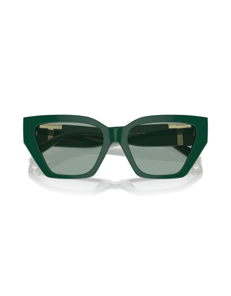 Occhiali da sole Tiffany & Co. 4218 840882 online da Ottica Ricci