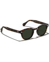 Moscot Lemtosh Havana occhiali sole | Ottica Ricci Shop Online