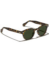 Moscot Lemtosh Tortoise calibro 44 | Ottica Ricci Shop Online