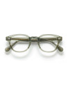 OCCHIALI DA VISTA MOSCOT LEMTOSH SAGE CALIBRO 49