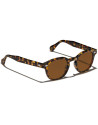 OCCHIALI DA SOLE MOSCOT LEMTOSH TORTOISE CALIBRO 49