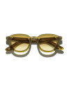 Moscot Dahven sun olive brown chest | Ottica Ricci Shop Online