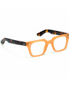 Moscot Grober Honey Tortoise da vista – Ottica Ricci Shop Online