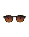 Occhiali Moscot LEMTOSH SUN tortoise cabernet online da Ottica Ricci