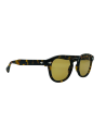 Occhiali sole moscot LEMTOSH SUN tortoise amber online da Ottica Ricci