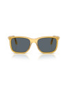Occhiali da sole Persol 3357S 204/R5 56 online da Ottica Ricci