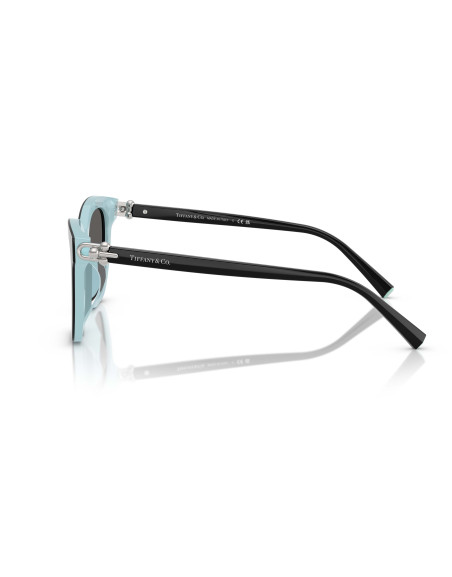 Occhiali da sole Tiffany & Co. 4241D 8055S4 online da Ottica Ricci