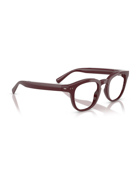 Occhiali acustici Nuance Audio 5002 05 48 online da Ottica Ricci