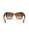 Occhiali da sole Ray-Ban 2186 133451 disponibili online da Ottica Ricci