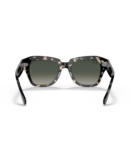 Occhiali da sole Ray-Ban 2186 133371 disponibili online da Ottica Ricci