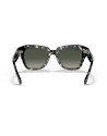 Occhiali da sole Ray-Ban 2186 133371 disponibili online da Ottica Ricci