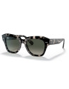 Occhiali da sole Ray-Ban 2186 133371 disponibili online da Ottica Ricci
