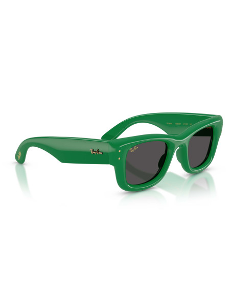 Occhiali da sole Ray-Ban 4940 683487 disponibili online da Ottica Ricci
