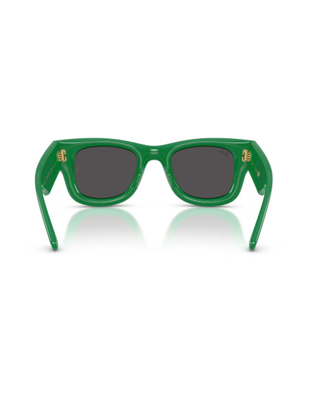 Occhiali da sole Ray-Ban 4940 683487 disponibili online da Ottica Ricci
