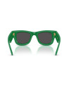 Occhiali da sole Ray-Ban 4940 683487 disponibili online da Ottica Ricci