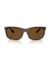 Occhiali sole Ray-Ban 2389 902/57 60 online da Ottica Ricci