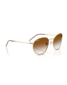 Occhiali sole Ray-Ban R0103S SOLE 001/CB 53 online da Ottica Ricci