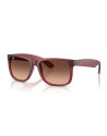 Occhiali sole Ray-Ban 4165 6815A5 online da Ottica Ricci