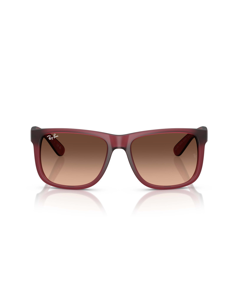 Occhiali sole Ray-Ban 4165 6815A5 online da Ottica Ricci