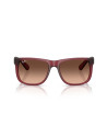 Occhiali sole Ray-Ban 4165 6815A5 online da Ottica Ricci