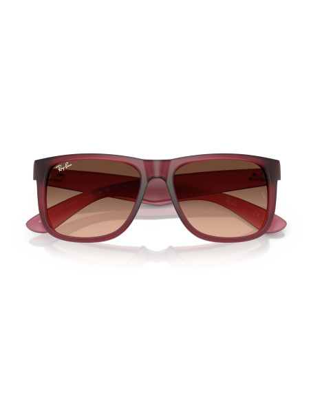 Occhiali sole Ray-Ban 4165 6815A5 online da Ottica Ricci