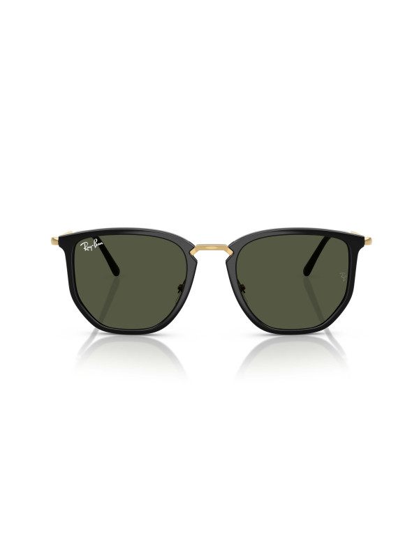 Occhiali sole Ray-Ban 4451 630631 online da Ottica Ricci