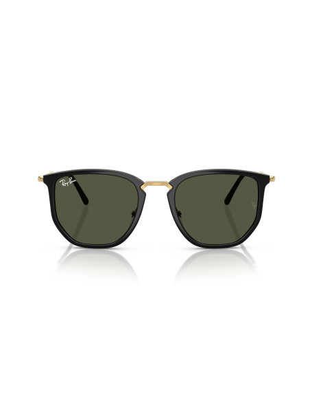 Occhiali sole Ray-Ban 4451 630631 online da Ottica Ricci