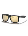 Ray-Ban Occhiali da sole 4165 da Ottica Ricci Shop Online
