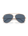 Occhiali sole Ray-Ban R0101S 92023A online da Ottica Ricci