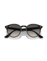 Occhiali sole Ray-Ban 2180 601/11 online da Ottica Ricci
