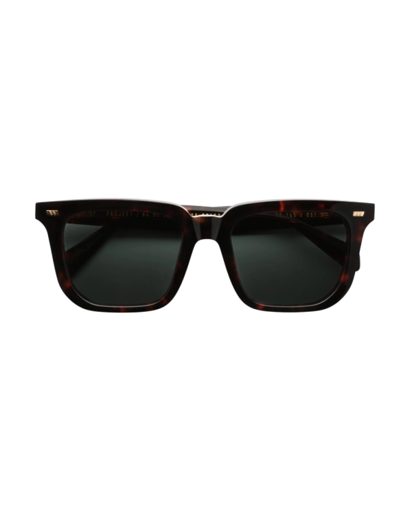 Occhiali sole Gast Certo Classic Havana online da Ottica Ricci