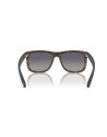 Occhiali da sole Ray-Ban 4165 865/8S disponibili online da Ottica Ricci