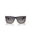 Occhiali da sole Ray-Ban 4165 865/8S disponibili online da Ottica Ricci