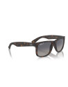 Occhiali da sole Ray-Ban 4165 865/8S disponibili online da Ottica Ricci