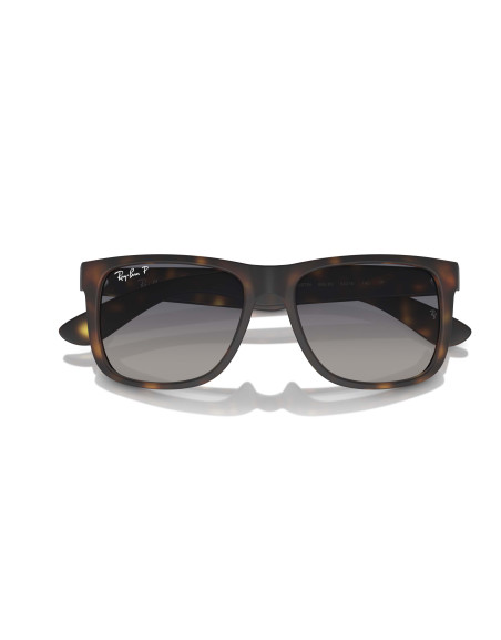 Occhiali da sole Ray-Ban 4165 865/8S disponibili online da Ottica Ricci