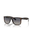Occhiali da sole Ray-Ban 4165 865/8S disponibili online da Ottica Ricci