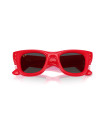 Occhiali da sole Ray-Ban 4940 683187 disponibili online da Ottica Ricci
