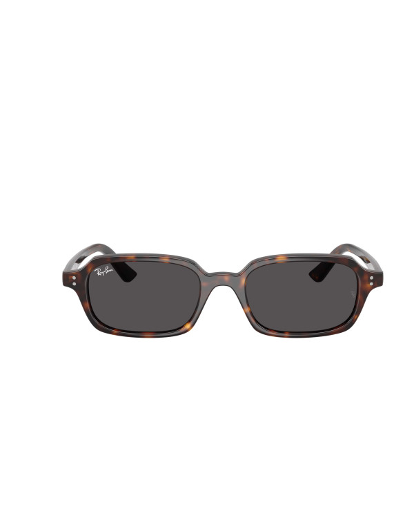 Occhiali sole Ray-Ban 4455 135987 49 online da Ottica Ricci