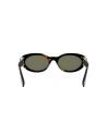Occhiali sole FF Diamonds Havana Oval Sunglasses online da Ottica Ricci
