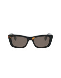 Fendi Lettering Havana Geometric Sunglasses